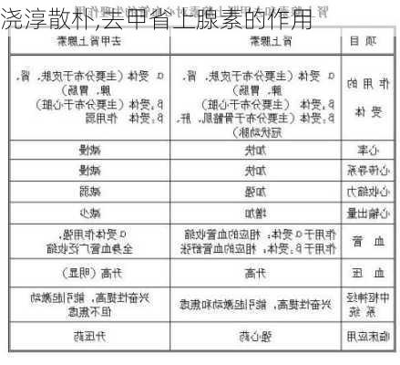 浇淳散朴,去甲省上腺素的作用