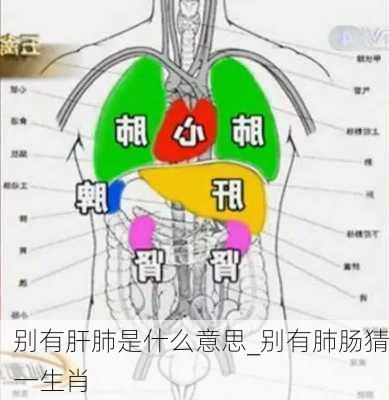 别有肝肺是什么意思_别有肺肠猜一生肖