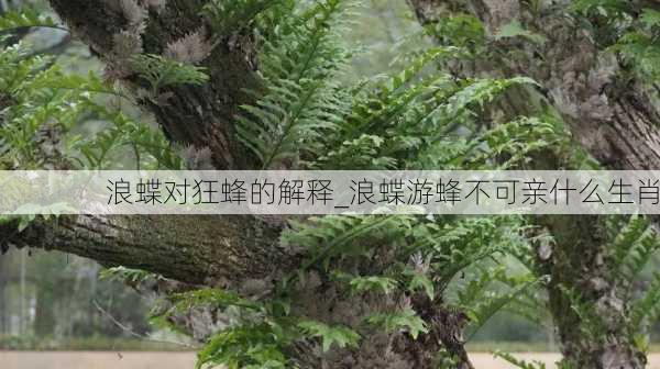 浪蝶对狂蜂的解释_浪蝶游蜂不可亲什么生肖