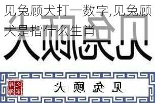 见兔顾犬打一数字,见兔顾犬是指什么生肖