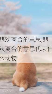 悲欢离合的意思,悲欢离合的意思代表什么动物