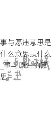 事与愿违意思是什么意思是什么_事与原违的意思