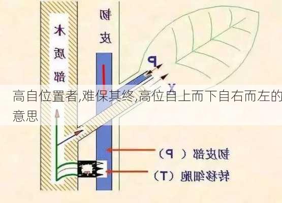 高自位置者,难保其终,高位自上而下自右而左的意思