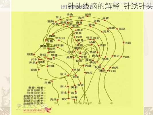 针头线脑的解释_针线针头