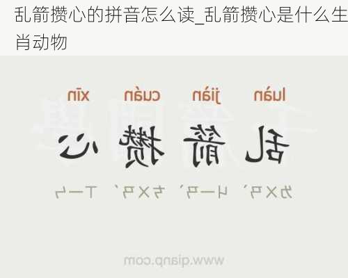 乱箭攒心的拼音怎么读_乱箭攒心是什么生肖动物