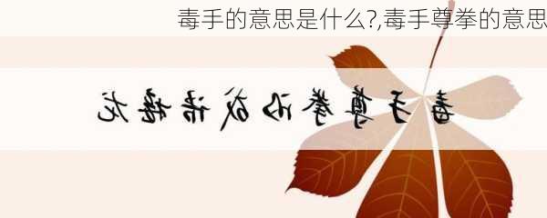 毒手的意思是什么?,毒手尊拳的意思