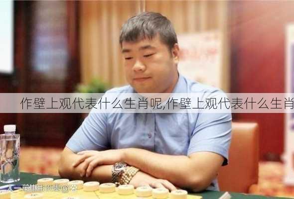 作壁上观代表什么生肖呢,作壁上观代表什么生肖