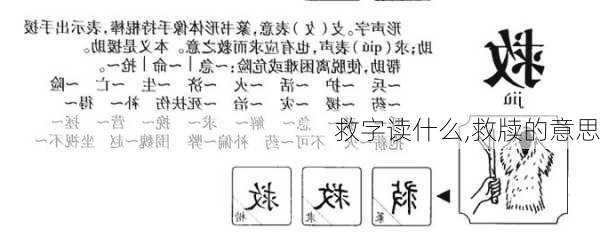 救字读什么,救牍的意思