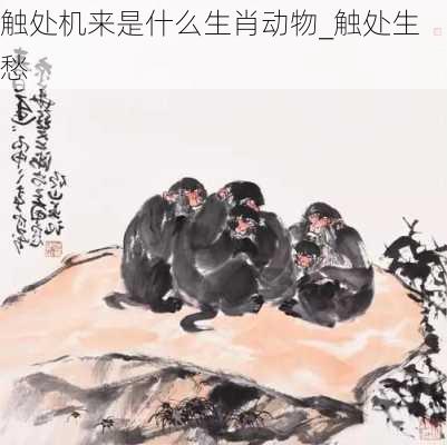 触处机来是什么生肖动物_触处生愁