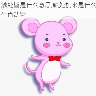 触处皆是什么意思,触处机来是什么生肖动物