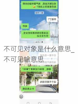 不可见对象是什么意思_不可见啥意思