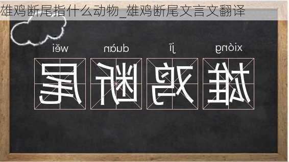 雄鸡断尾指什么动物_雄鸡断尾文言文翻译