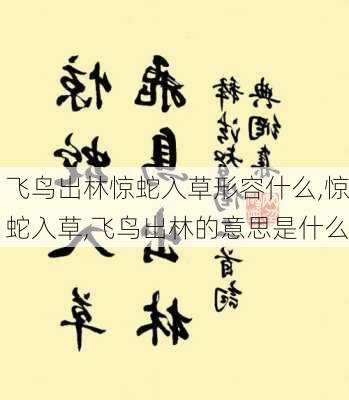 飞鸟出林惊蛇入草形容什么,惊蛇入草,飞鸟出林的意思是什么