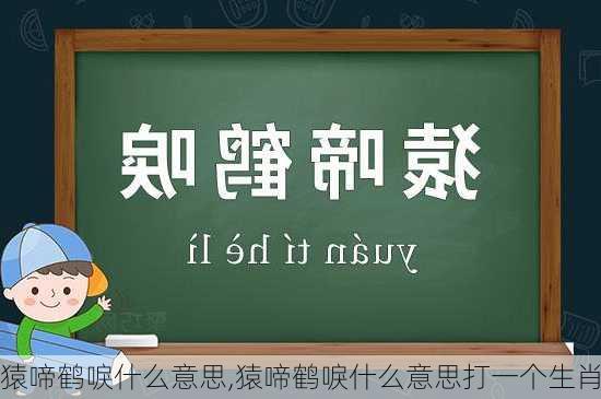 猿啼鹤唳什么意思,猿啼鹤唳什么意思打一个生肖