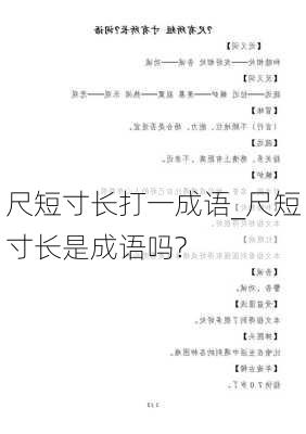 尺短寸长打一成语_尺短寸长是成语吗?