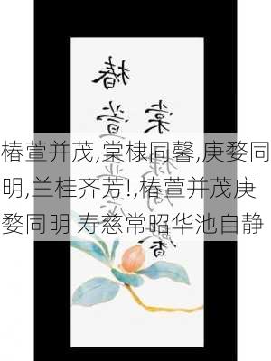 椿萱并茂,棠棣同馨,庚婺同明,兰桂齐芳!,椿萱并茂庚婺同明 寿慈常昭华池自静