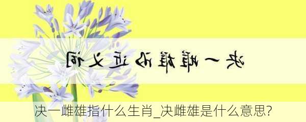 决一雌雄指什么生肖_决雌雄是什么意思?