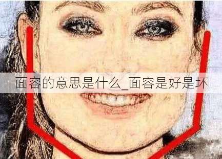 面容的意思是什么_面容是好是坏