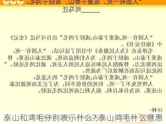 泰山和鸿毛分别表示什么?,泰山鸿毛什么意思