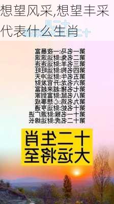 想望风采,想望丰采代表什么生肖