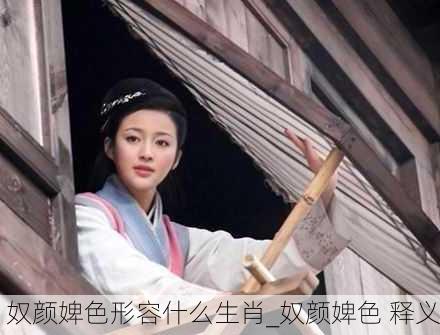 奴颜婢色形容什么生肖_奴颜婢色 释义