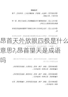 昂首天外放眼四极是什么意思?,昂首望天是成语吗