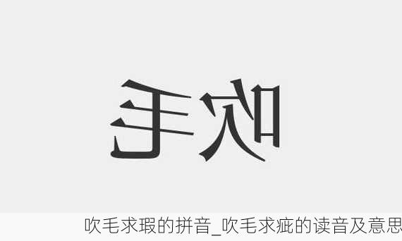 吹毛求瑕的拼音_吹毛求疵的读音及意思