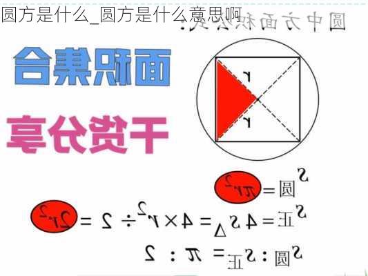 圆方是什么_圆方是什么意思啊