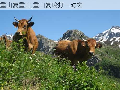 重山复重山,重山复岭打一动物