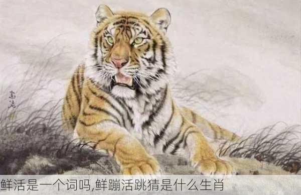 鲜活是一个词吗,鲜蹦活跳猜是什么生肖