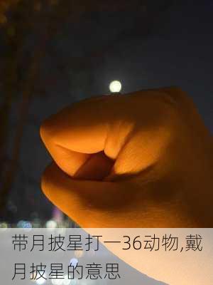 带月披星打一36动物,戴月披星的意思