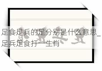 足食足兵的足分别是什么意思_足兵足食打一生肖