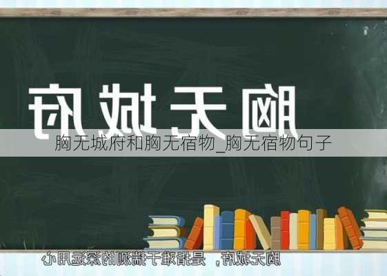 胸无城府和胸无宿物_胸无宿物句子