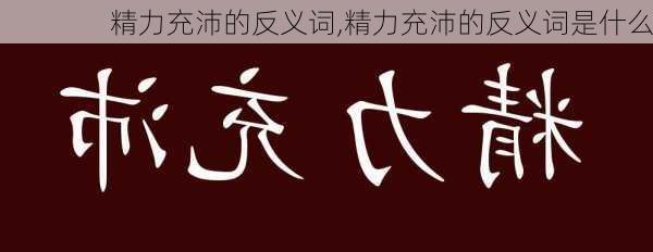 精力充沛的反义词,精力充沛的反义词是什么