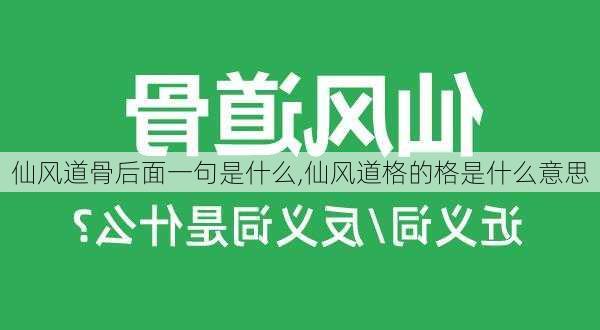 仙风道骨后面一句是什么,仙风道格的格是什么意思