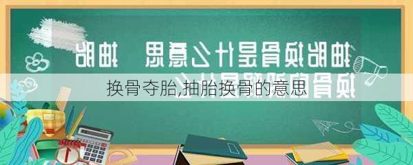 换骨夺胎,抽胎换骨的意思