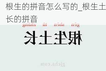 根生的拼音怎么写的_根生土长的拼音