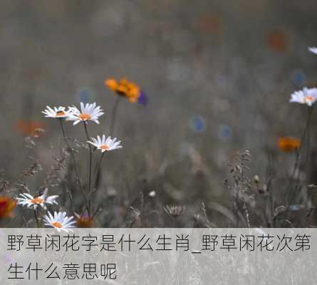 野草闲花字是什么生肖_野草闲花次第生什么意思呢