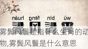 雾鬓风鬟是指什么生肖的动物,雾鬓风鬟是什么意思