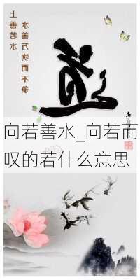 向若善水_向若而叹的若什么意思