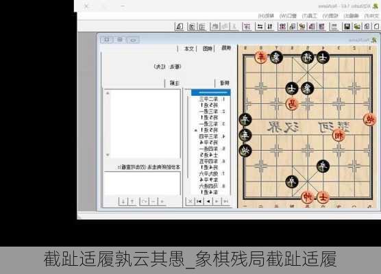 截趾适履孰云其愚_象棋残局截趾适履