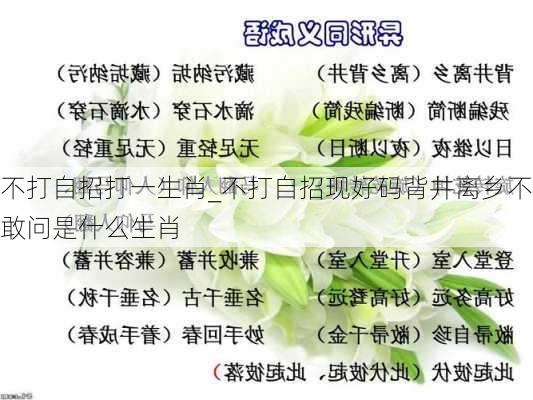 不打自招打一生肖_不打自招现好码背井离乡不敢问是什么生肖