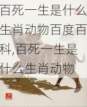 百死一生是什么生肖动物百度百科,百死一生是什么生肖动物