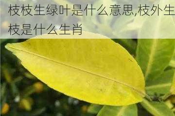 枝枝生绿叶是什么意思,枝外生枝是什么生肖