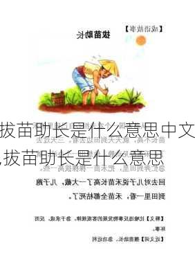 拔苗助长是什么意思中文,拔苗助长是什么意思