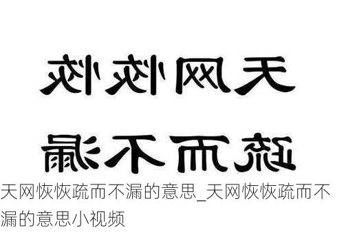 天网恢恢疏而不漏的意思_天网恢恢疏而不漏的意思小视频