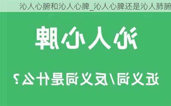 沁人心腑和沁人心脾_沁人心脾还是沁人肺腑