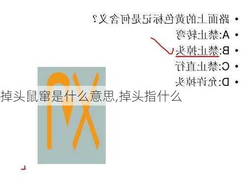 掉头鼠窜是什么意思,掉头指什么