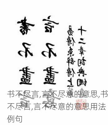 书不尽言,言不尽意的意思,书不尽言,言不尽意的意思用法 例句