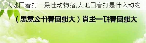 大地回春打一最佳动物猪,大地回春打是什么动物